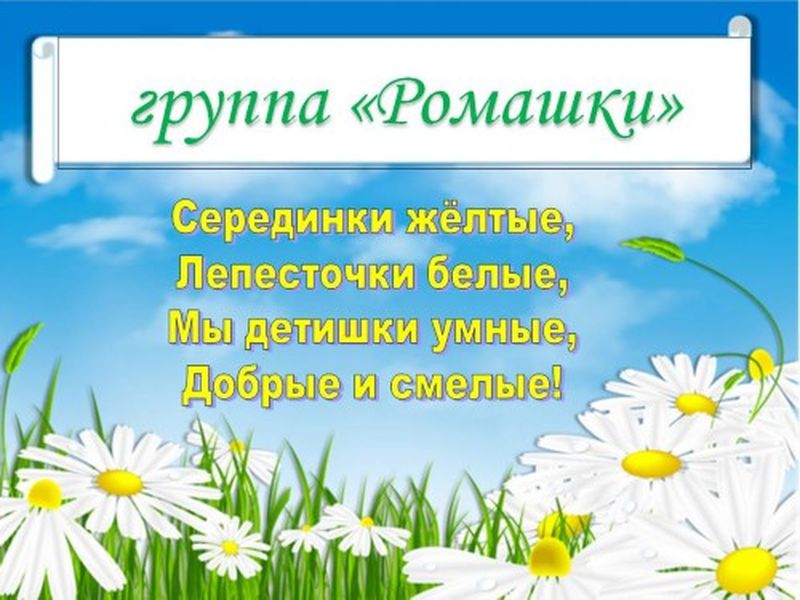 Это изображение имеет пустой атрибут alt; его имя файла - ромашки.jpg